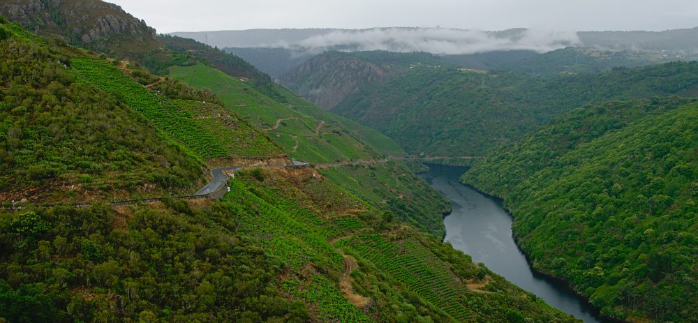Envío de resúmenes. XII Congreso de Economía Agraria. «La Sostenibilidad Agro-Territorial desde la Europa Atlántica»